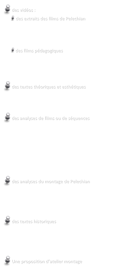  des vidéos : 
 des extraits des films de Pelechian 
Figure de la boucle
Motif du rassemblement
Le Mont Ararat de Pelechian 
 des films pédagogiques
Un cinéma inclassable
Théorie de la distance et image absente
Atelier montage (séquence du cygne)

 des textes théoriques et esthétiques
Intervalle et Répétition
Image et poésie 

 des analyses de films ou de séquences
Un cinéma inclassable
 Figure de la spirale
Motif du rassemblement
Explosions / Reconstruction
Images de fuite
Le Mont Ararat

 des analyses du montage de Pelechian
Figure de la boucle
Image et musique
Montage de la séquence du cygne

 des textes historiques
Le montage au premier plan
Différentes conceptions du montage
L’histoire de l’Arménie

 Une proposition d’atelier montage
Atelier Montage