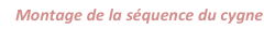 shapeimage_1_link_16