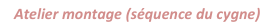 shapeimage_1_link_5