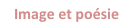 shapeimage_1_link_7